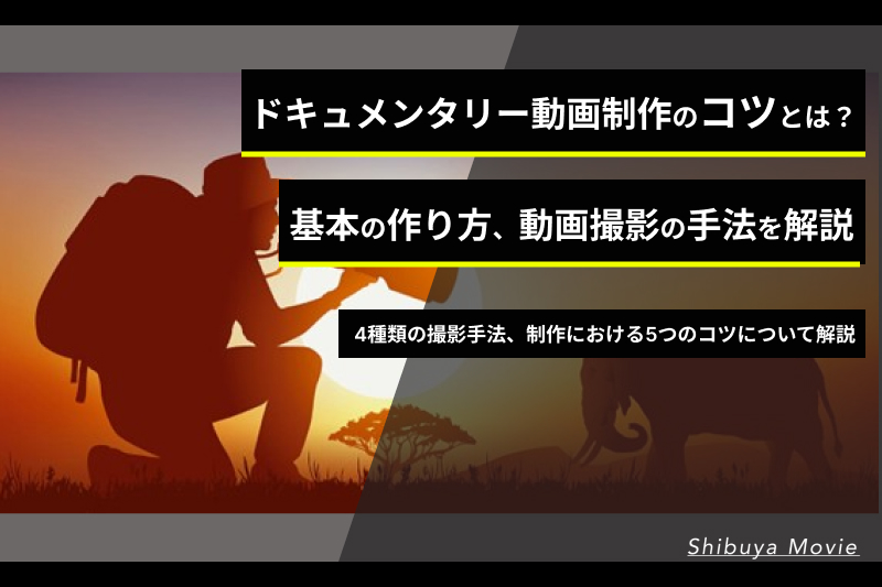 ドキュメンタリー動画タイトル