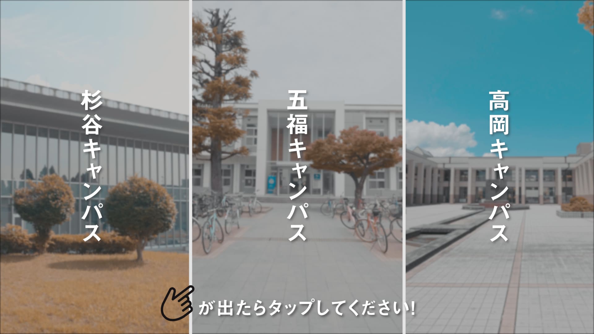 富山大学様のインタラクティブ動画事例