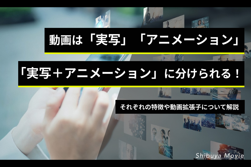 動画は「実写」「アニメーション」「実写＋アニメーション」に分けられる！それぞれの特徴や動画拡張子について解説