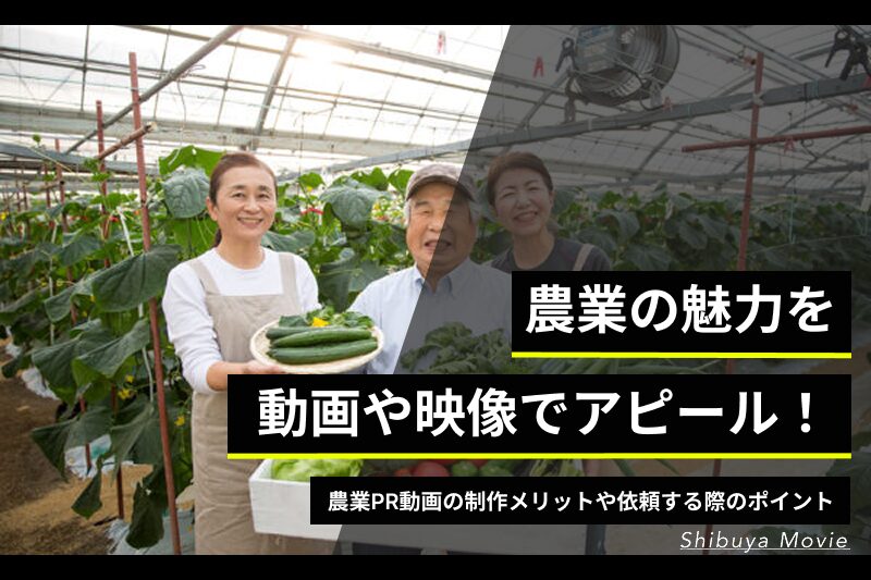 農業の魅力を動画や映像でアピール！農業PR動画の制作メリットや依頼する際のポイント