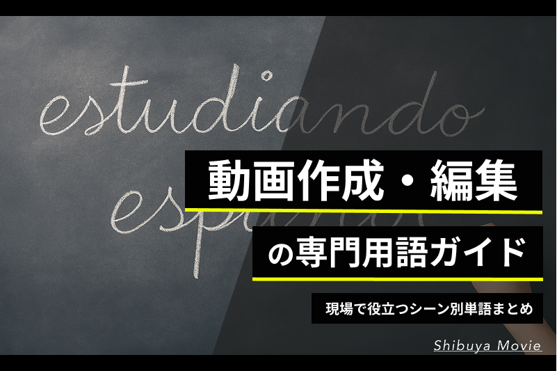 動画作成・編集の専門用語ガイド｜現場で役立つシーン別単語まとめ